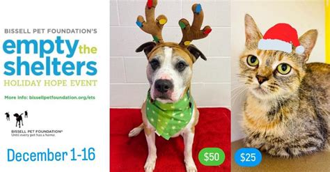 broome county humane society facebook